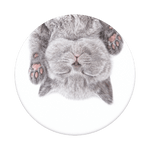 PopGrip Cat Nap, PopSockets