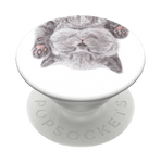 PopGrip Cat Nap, PopSockets