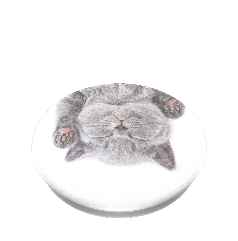 PopGrip Cat Nap