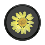 PopGrip Pressed Flower Yellow Daisy, PopSockets