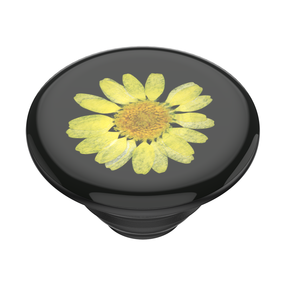 PopGrip Pressed Flower Yellow Daisy, PopSockets
